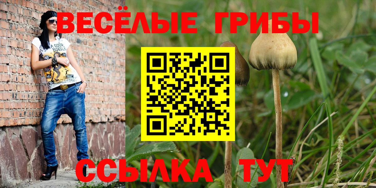 Псилоцибиновые грибы мицелий  Вход с VPN  Галлюциногенные грибы Cubensis  Борзя 